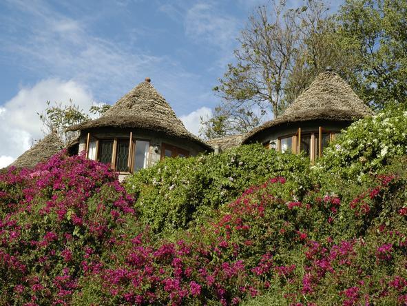 Serena Mountain Village Arusha - Location 